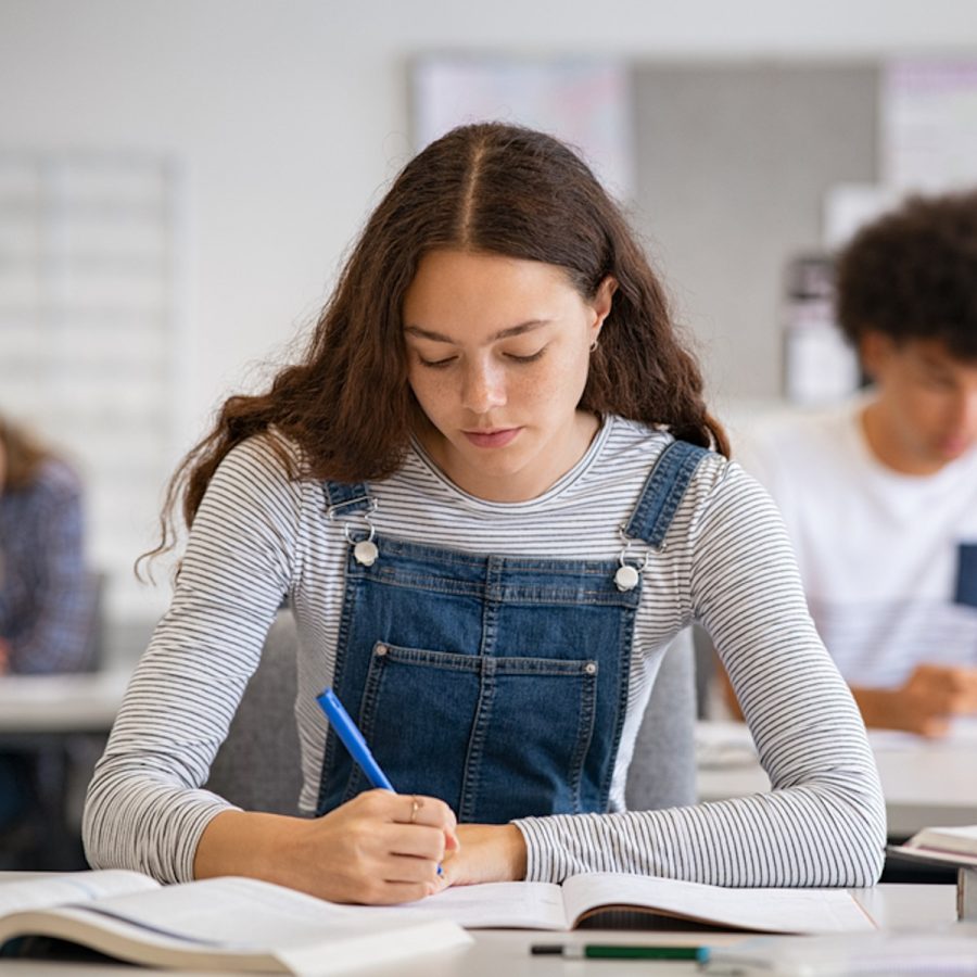 High,School,Student,Taking,Notes,From,Book,For,Her,Study.